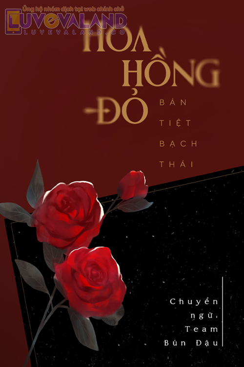HOA HỒNG ĐỎ
