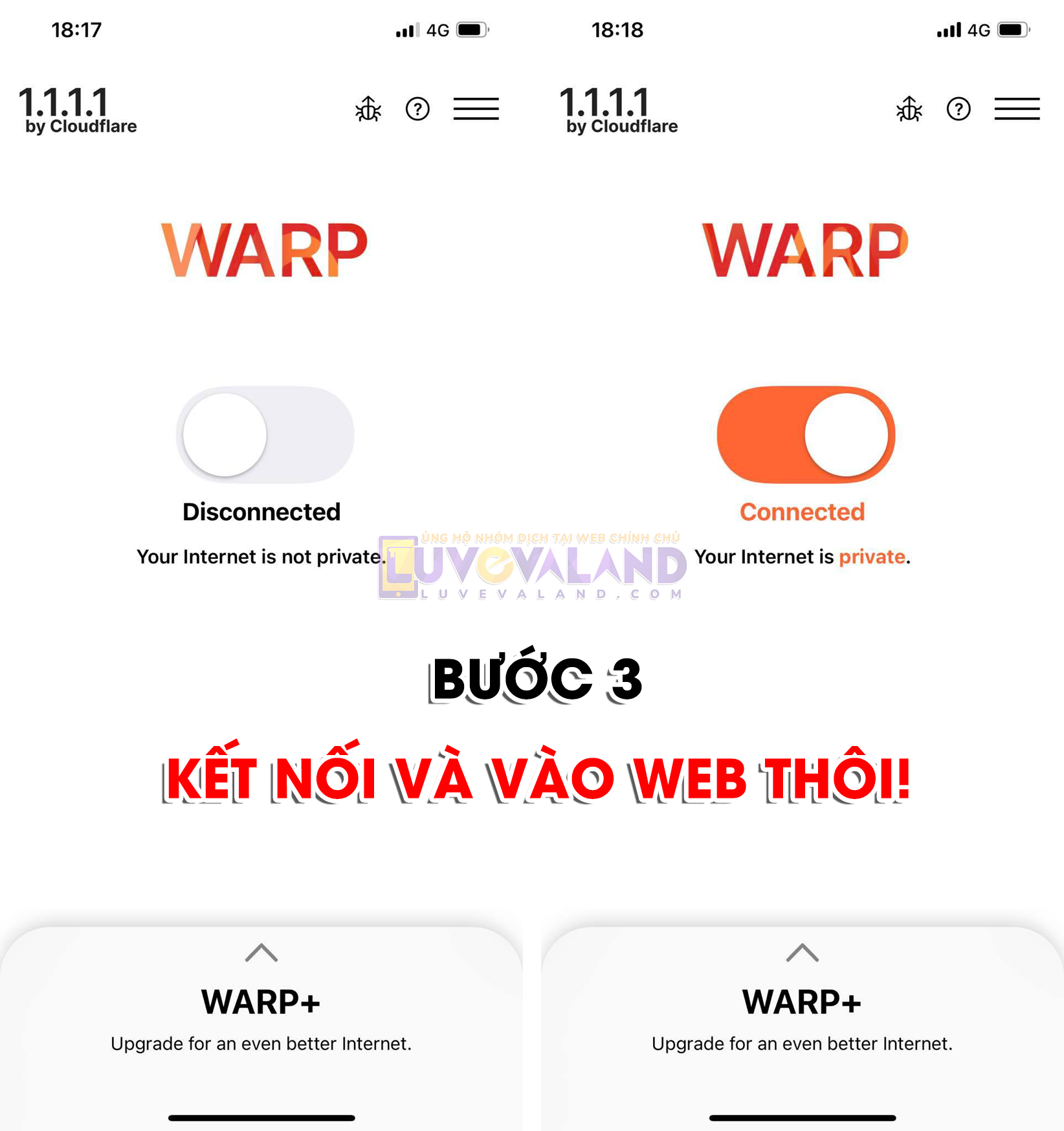 WarpB3