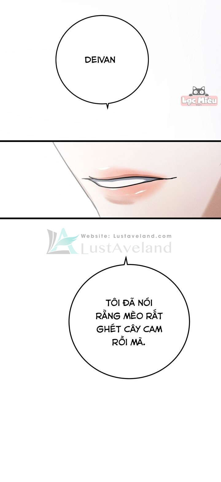 eeeee_002_10