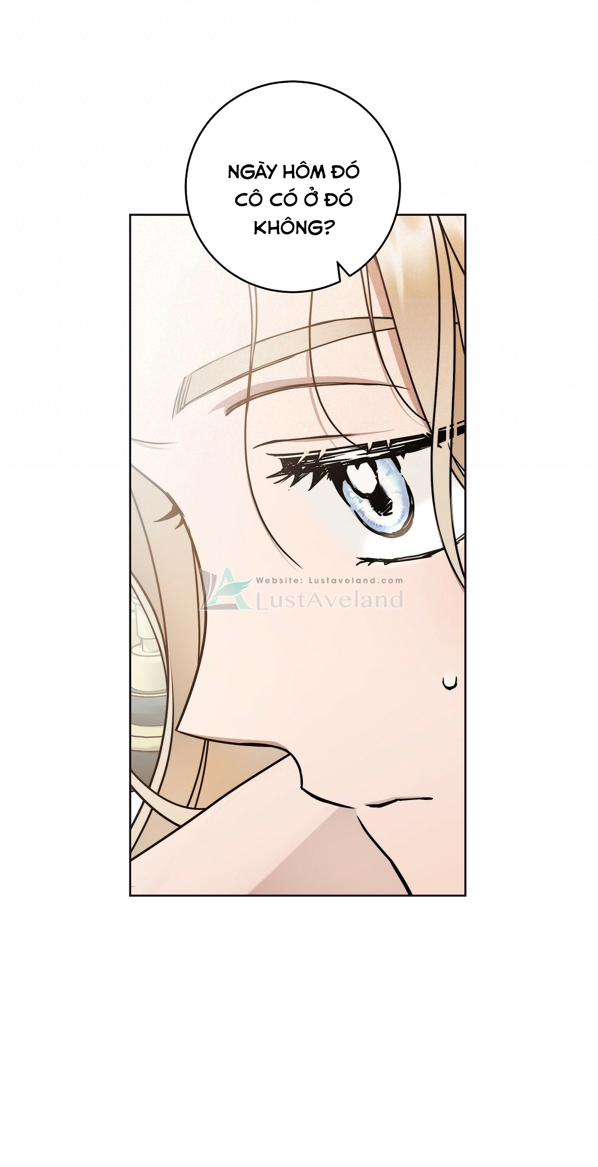 3_06