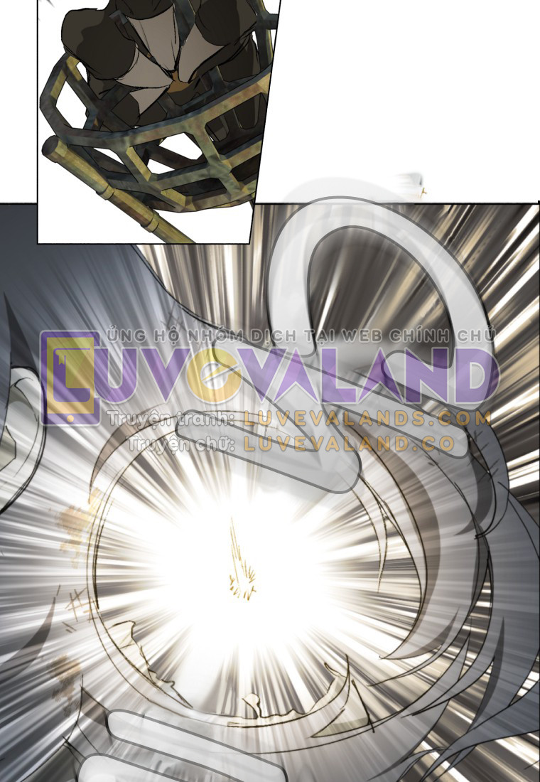 019 (1)