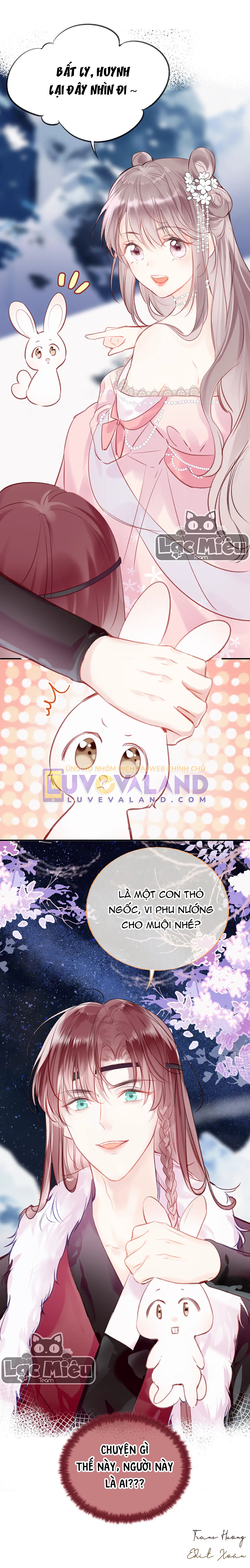 14 (16) copy