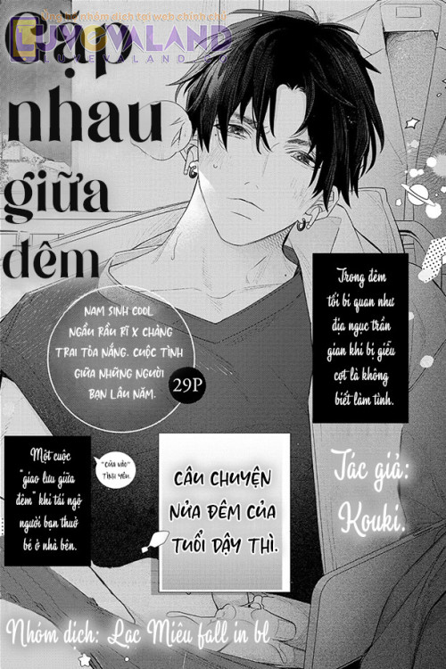 GẬP NHAU GIỮA ĐÊM