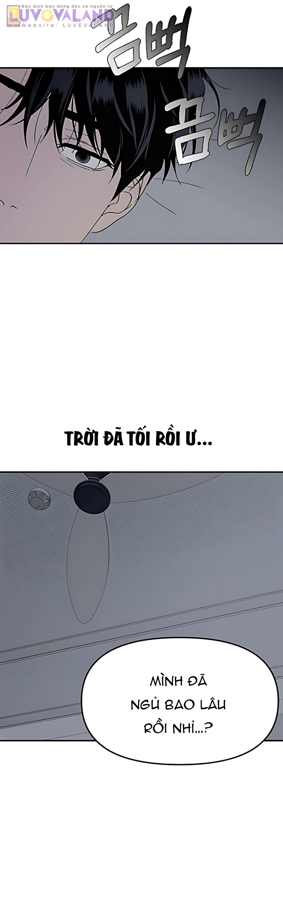 019