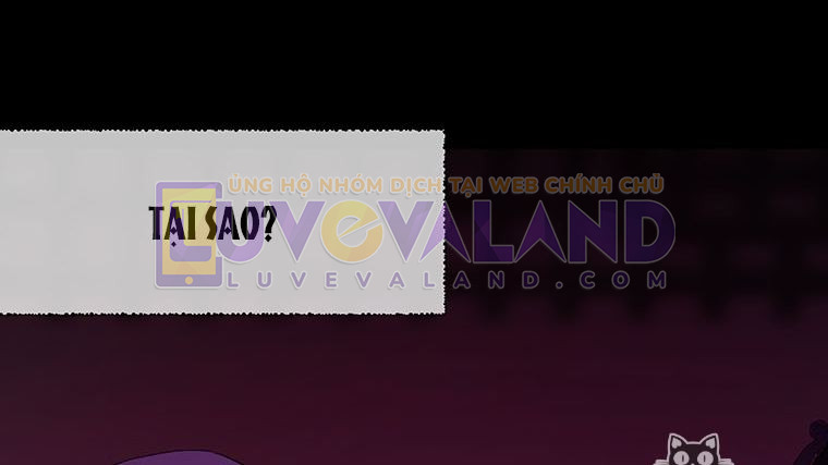logo__c41-(2)_17
