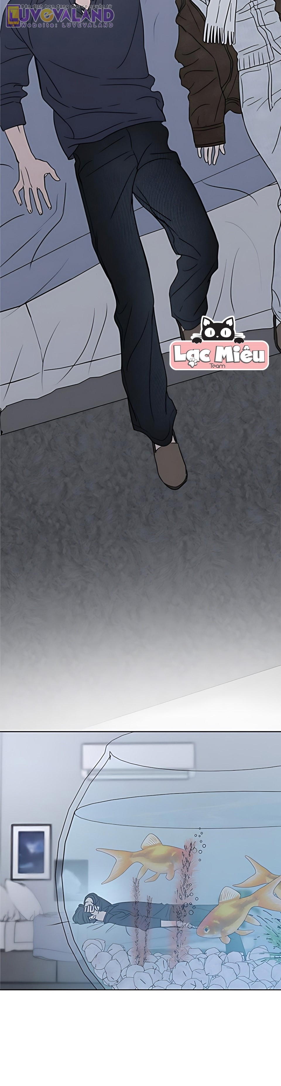 019