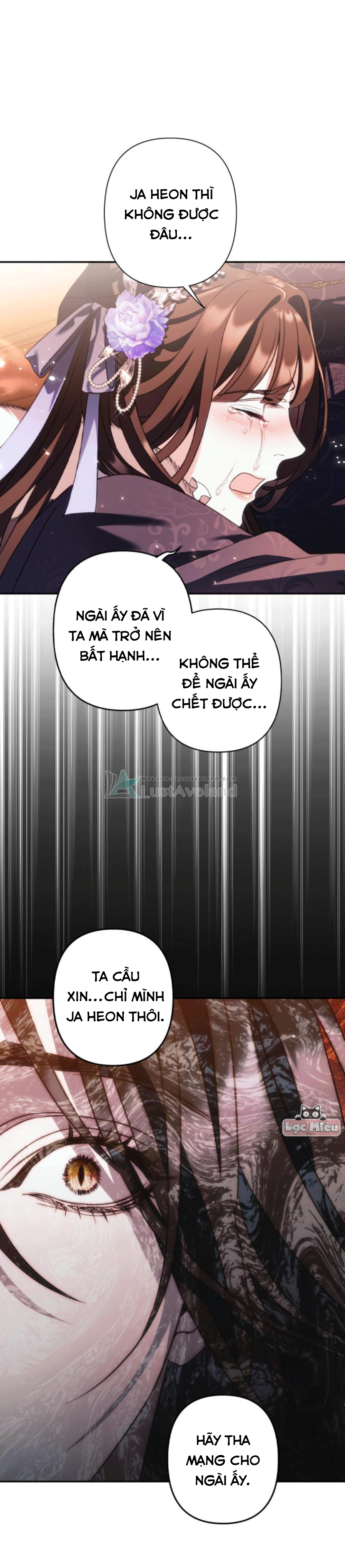 cái này _04_05