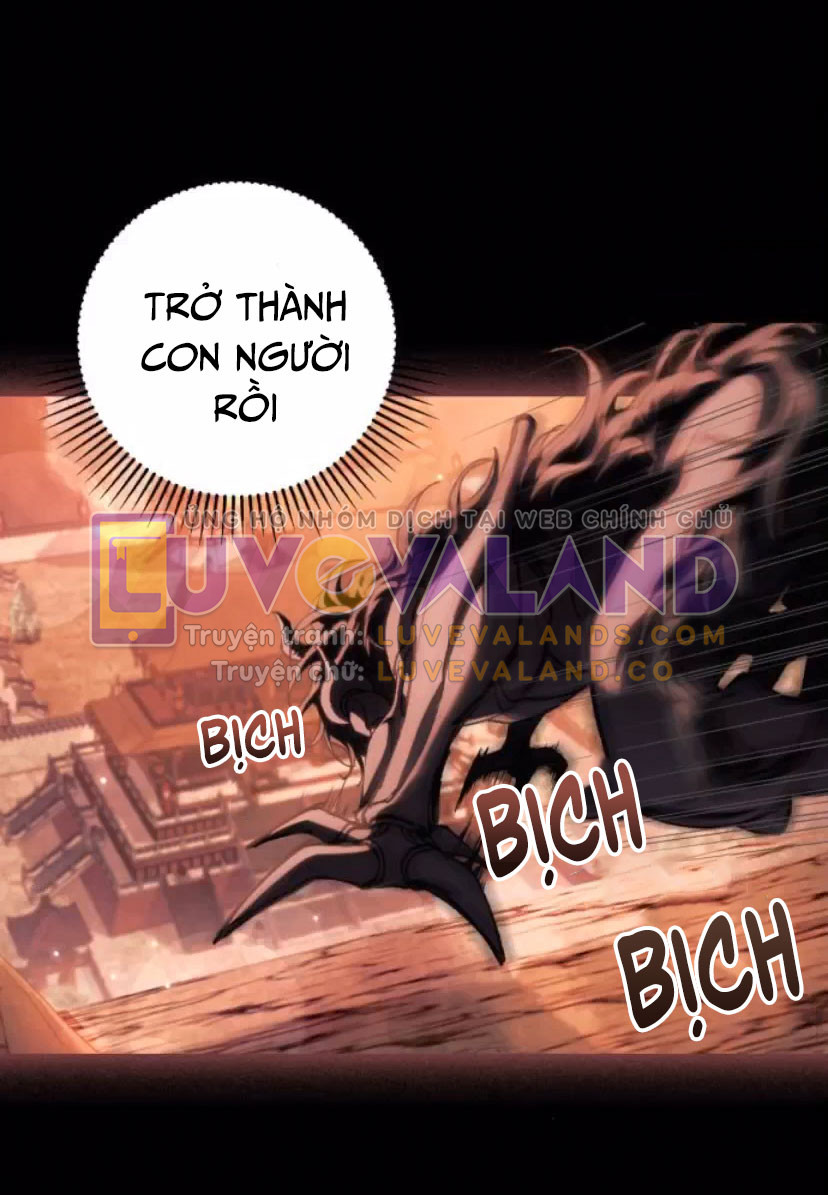 36-(6)_06