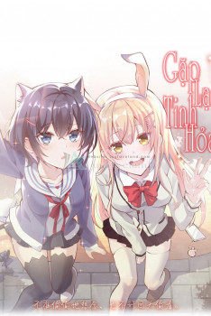 GẶP LẠI TINH HỎA