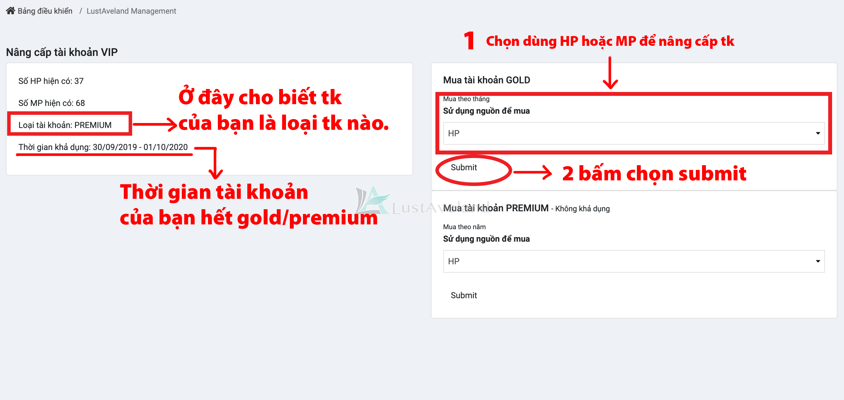nang cấp 2