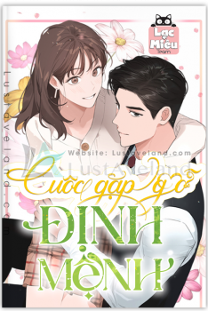 CUỘC GẶP GỠ ĐỊNH MỆNH