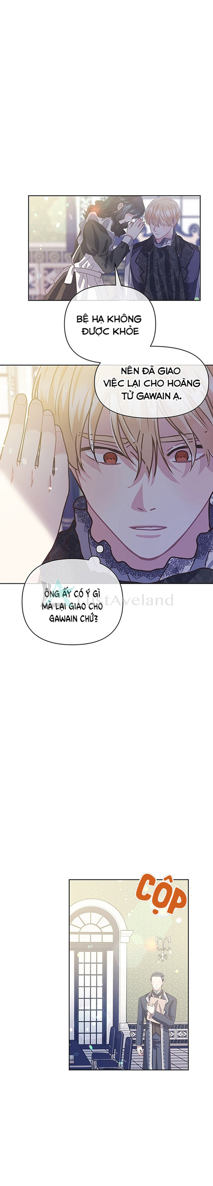 c23 (20)