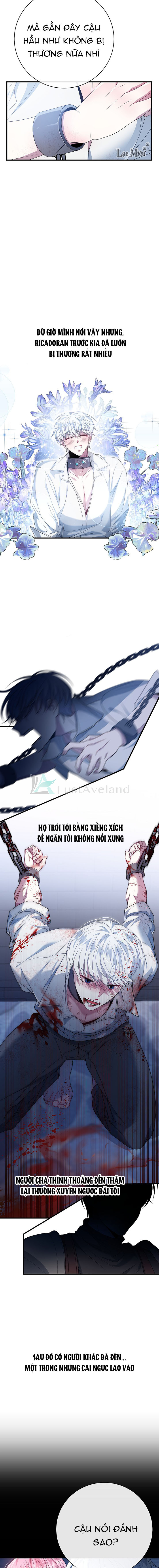 0(11)