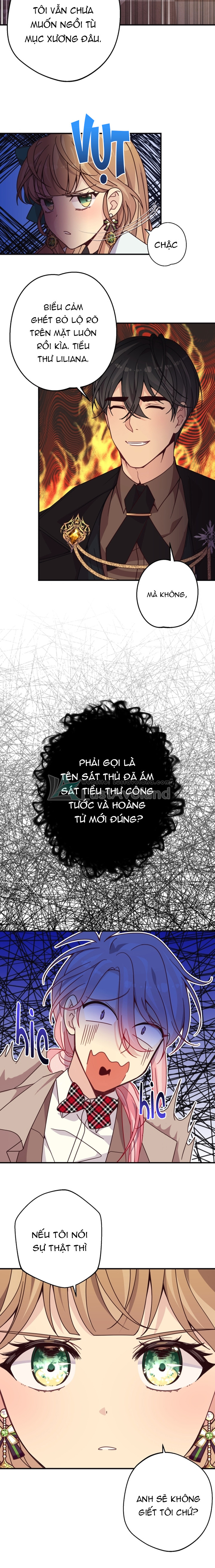 3 copy