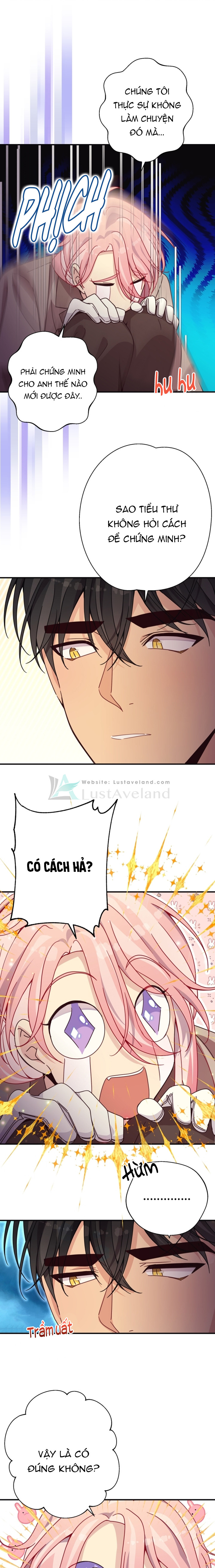 7 copy