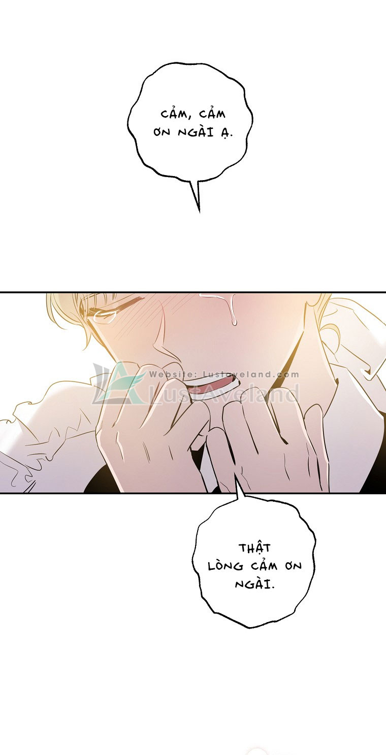 c45-(4)_07