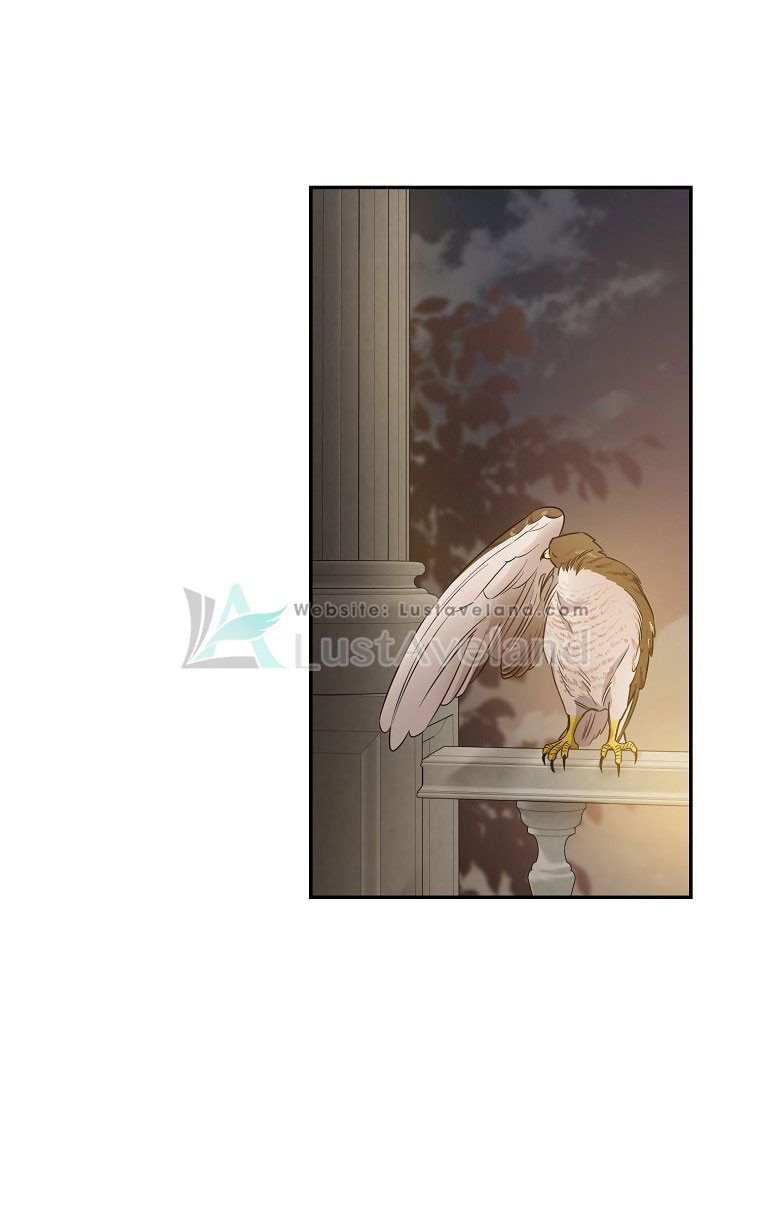 c45-(5)_05