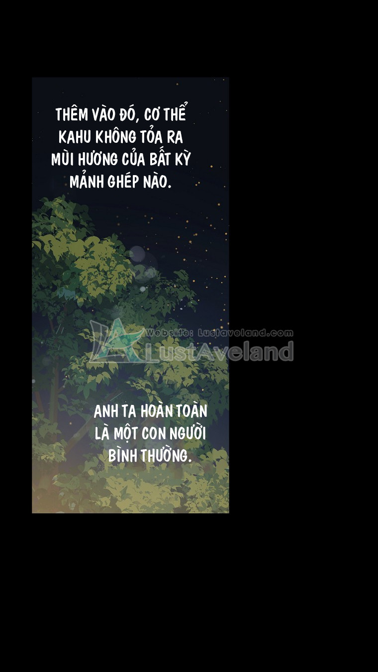c47-(2)_15